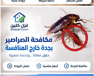 معالجة أماكن اختباء الصراصير