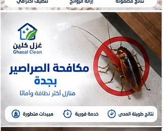 صورة توضيحية لخدمة مكافحة الصراصير